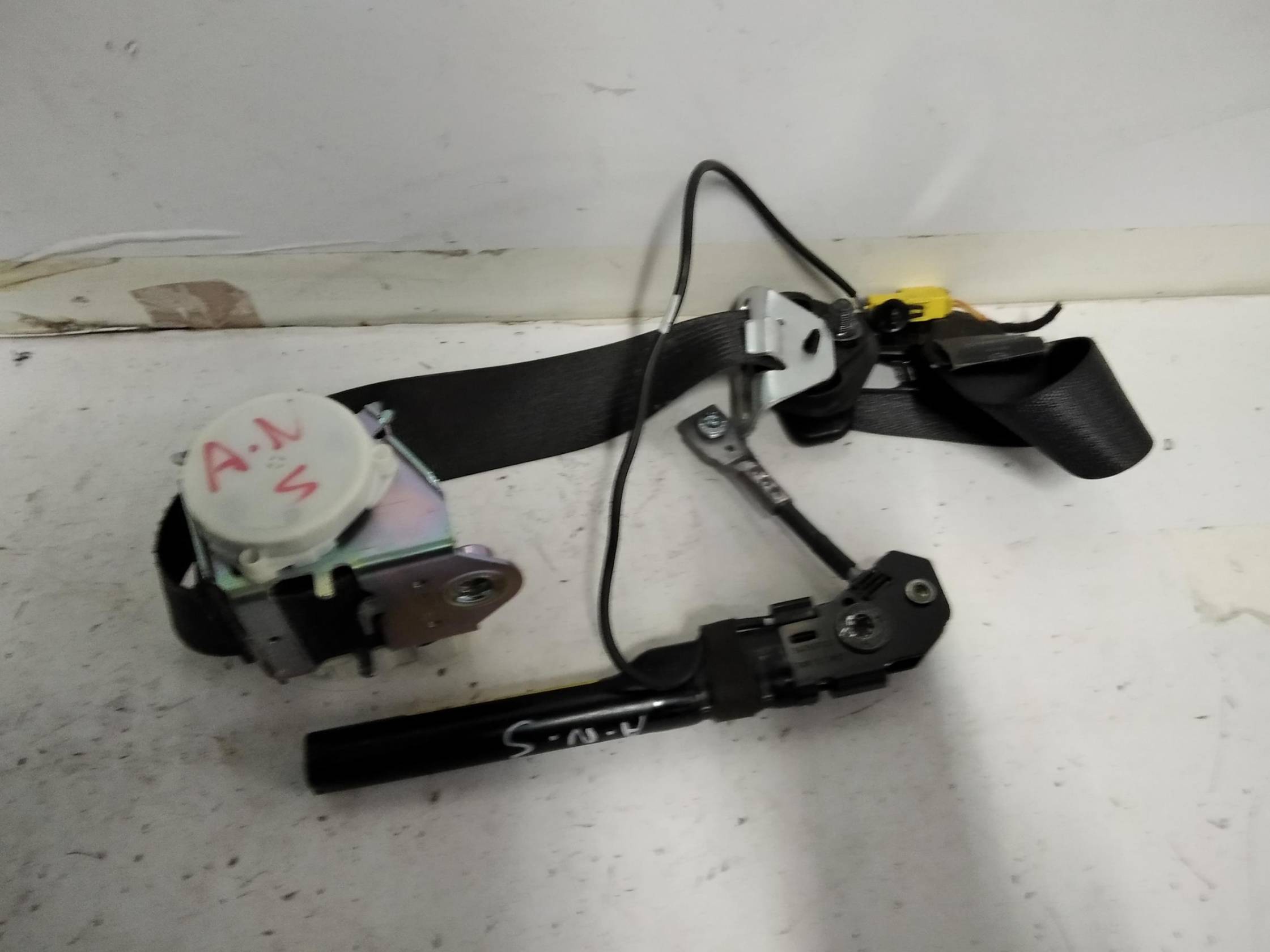 Cintura di sicurezza ant. sx.